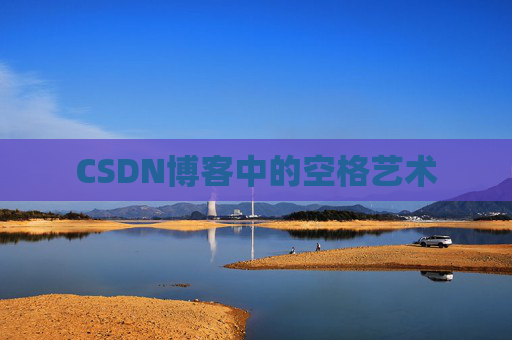 CSDN博客中的空格艺术